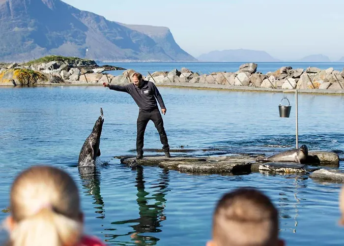 Cozy In Appartement Ålesund