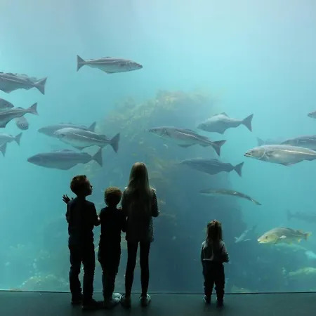 Apartment Cozy In Ålesund